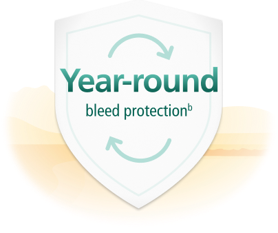 Year-round shield icon