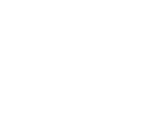 Checkmark icon